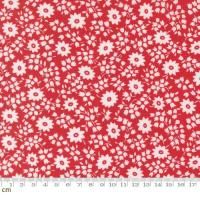 Moda-k 30s Playtime 2025-23372-14(3A-05)  襤  110cm<img class='new_mark_img2' src='https://img.shop-pro.jp/img/new/icons5.gif' style='border:none;display:inline;margin:0px;padding:0px;width:auto;' />