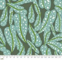 Ruby StarCalathea-RS5187-13(3A-05)ʪ տʪ դä ꡼ ɥå ե ݥå 襤  110cm<img class='new_mark_img2' src='https://img.shop-pro.jp/img/new/icons5.gif' style='border:none;display:inline;margin:0px;padding:0px;width:auto;' />