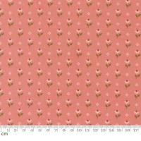 Moda-k 	Wild Honey-5252-13(3A-04)  ʪ ԥ 襤  110cm<img class='new_mark_img2' src='https://img.shop-pro.jp/img/new/icons5.gif' style='border:none;display:inline;margin:0px;padding:0px;width:auto;' />