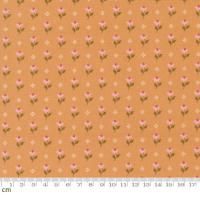 Moda-k 	Wild Honey-5252-16(3A-04)  ʪ 襤  110cm<img class='new_mark_img2' src='https://img.shop-pro.jp/img/new/icons5.gif' style='border:none;display:inline;margin:0px;padding:0px;width:auto;' />