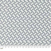 ��Moda-k �����American Gatherings III-49323-24(3A-07)�֥롼�� �ۥ磻�ȷ� �ʱ� �������� 110cm��<img class='new_mark_img2' src='https://img.shop-pro.jp/img/new/icons5.gif' style='border:none;display:inline;margin:0px;padding:0px;width:auto;' />