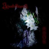 La'veil MizeriA(ラヴェイルミザリア)/『寂滅饗筵 [限定盤A-TYPE]』 CD+DVD [SWLA-001A] - CROSS  CAT online store