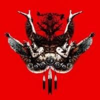 DIMLIM/VARIOUS ［CD+DVD］＜初回限定盤＞