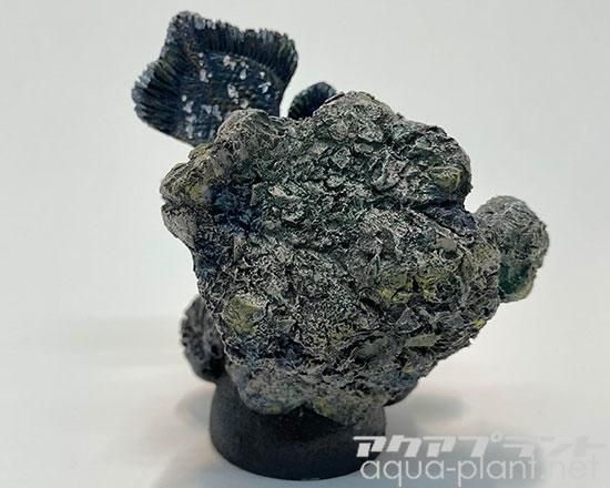 アクアプラント製　シーラカンス　根付ストラップ　希少 アクアプラント製 シーラカンス 根付ストラップ 希少 - メルカリ