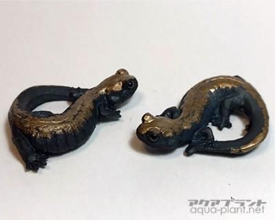 キタサンショウウオ根付ストラップ - アクアプラント