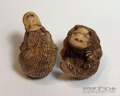 カモノハシ根付ストラップ - アクアプラント≪ネイチャー系
