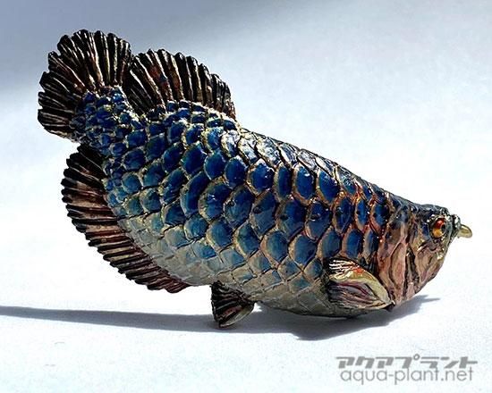 彩色版アジアアロワナ（藍底過背金龍）2 - アクアプラント