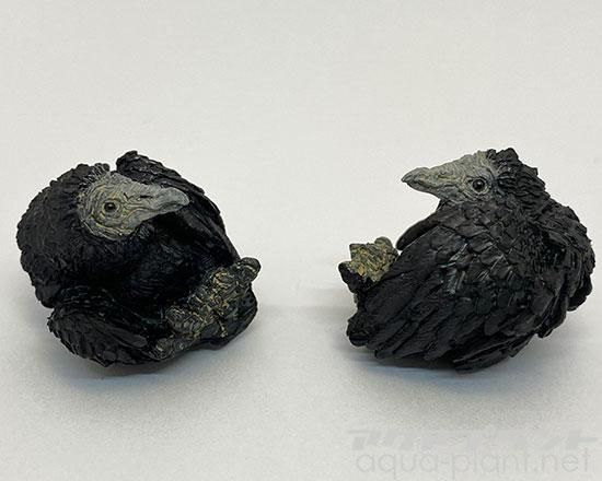 クロコンドル根付ストラップ - アクアプラント≪ネイチャー系