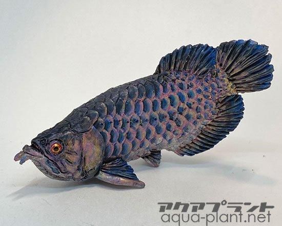 藍底過背金龍(ブルーアロワナ) 原画 藍底過背金龍 (ブルーベース) ±22㎝《5936 証明書付き