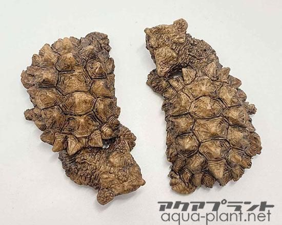 マタマタ　根付 マタマタ根付ストラップ - アクアプラント≪ネイチャー系