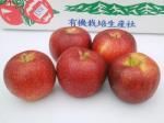 <img class='new_mark_img1' src='https://img.shop-pro.jp/img/new/icons25.gif' style='border:none;display:inline;margin:0px;padding:0px;width:auto;' />  5kg