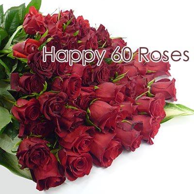 花束 送料無料 赤バラ６０本の花束