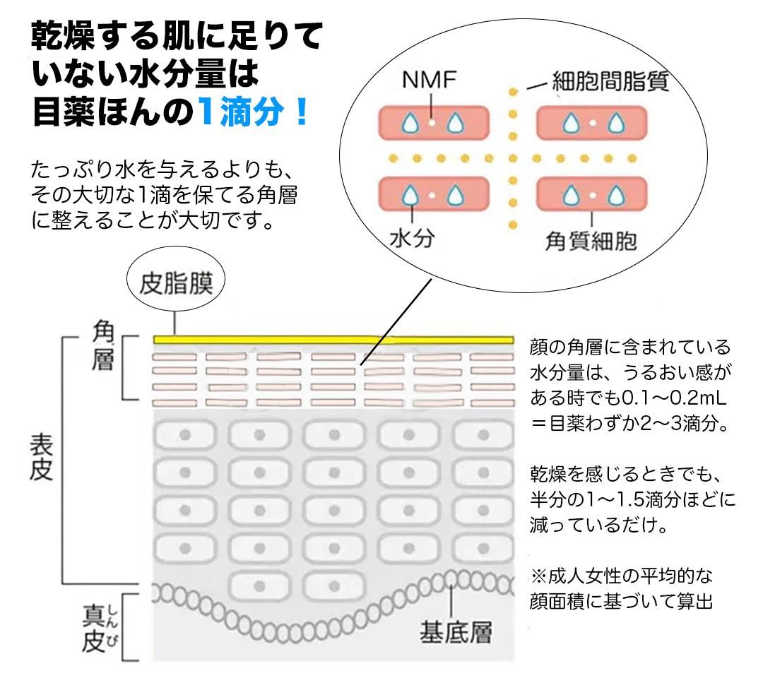 角層を構成している要素のイラスト