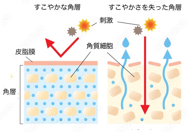 化粧水 必要 安い 不必要