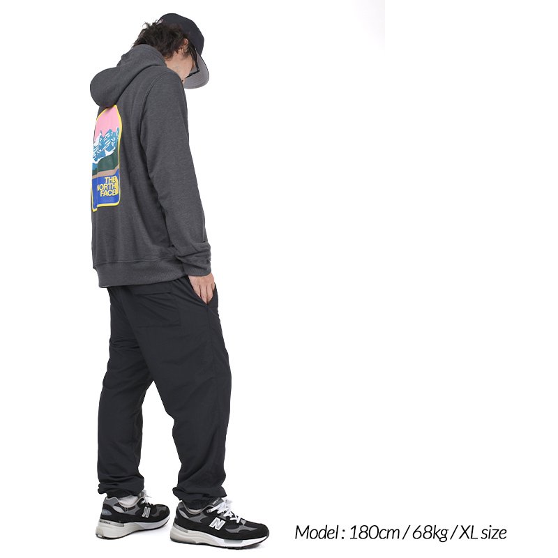 日本未発売 THE NORTH FACE Parks Pullover Hoodie D/GRAY ザ ノース ...