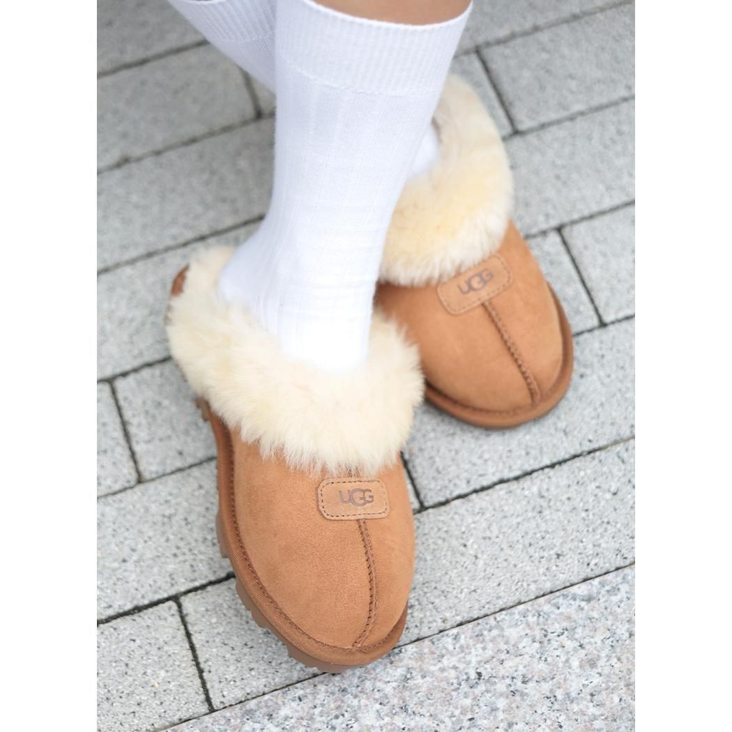 UGG W COQUETTE CHESTNUT    å  å 塼 ǥ ( ե ١ 㿧 BEIGE 5125 )