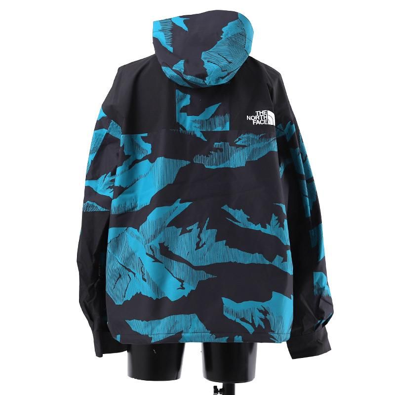日本未発売 THE NORTH FACE 1986 RETRO MTN JKT BLUE/GREEN ザ