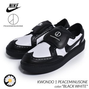 NIKE KWONDO 1 PEACEMINUSONE 