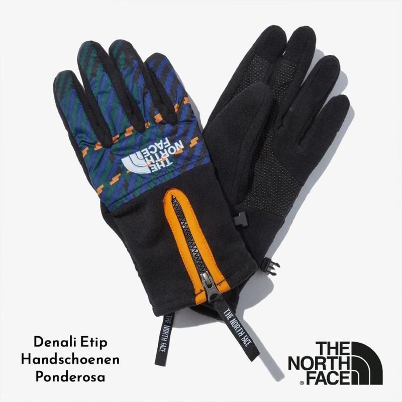 海外限定 THE NORTH FACE Denali Etip Handschoenen Ponderosa ザ ノースフェイス 手袋 日本未発売 黒 ブラック BLACK NF0A7RJB9D1