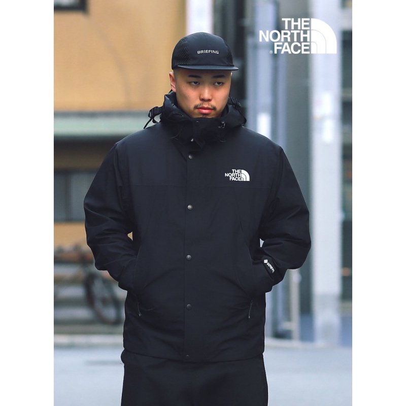 海外限定 THE NORTH FACE 1990 ECO GTX MOUNTAIN JACKET 