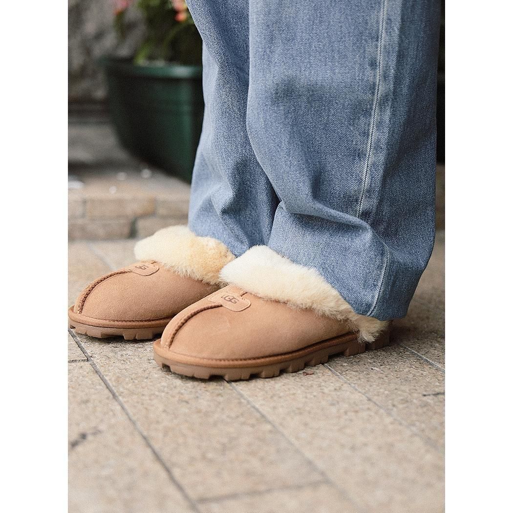 UGG W DISQUETTE CHESTNUT   ǥå  å 塼 ǥ (  㿧 ֥饦 ե 1122550 )