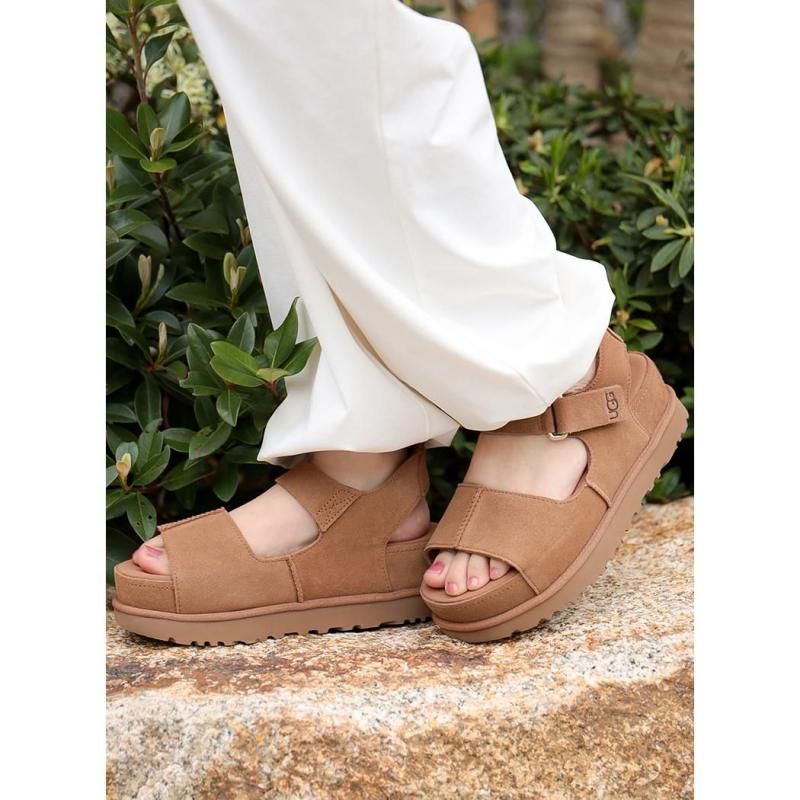 UGG W GOLDENSTAR HI CHESTNUT   ǥ󥹥 ϥ  饤 ǥ  㿧 ֥饦   ȥå 1167356