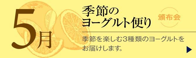 ヨーグルト専門店モーニング