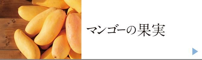 β̼,ޥ󥴡β̼