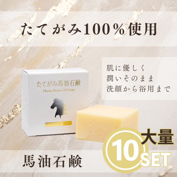 ڤ渵20-10ۤƤи10ĥåȡ
