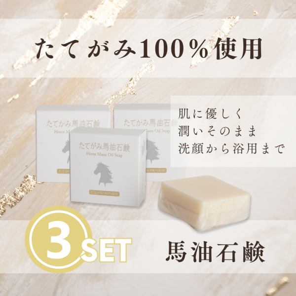 ڤ渵20-3ۤƤи3ĥåȡ